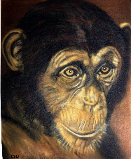 Fichier:Freddy Van Daele 8.jpeg
