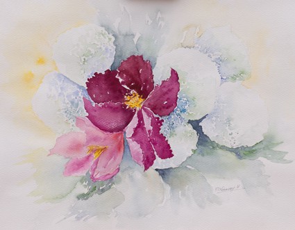 Fichier:Aquarelle-frederique-chansay.jpg