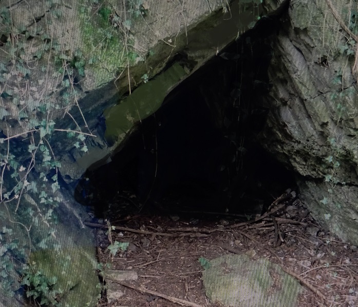 Fichier:La grotte du Mont-Falise.jpg