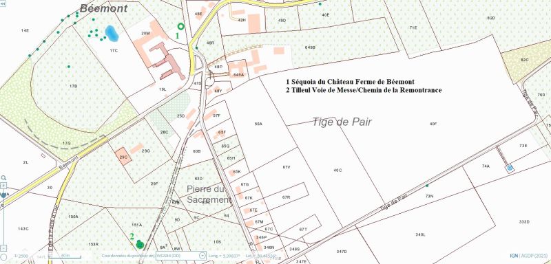 Fichier:Arbres remarqués Bée 02.jpg