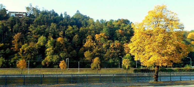 Fichier:Automne12.jpg