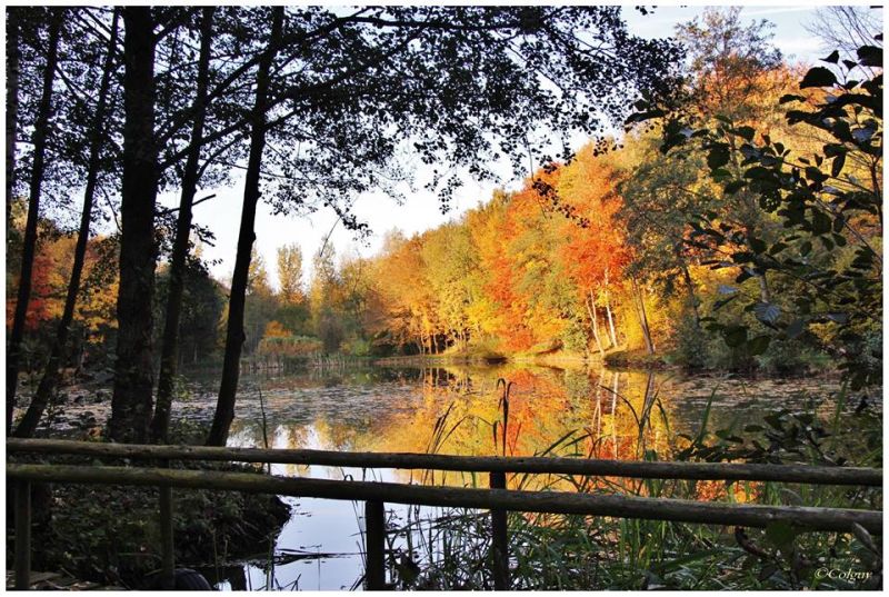 Fichier:Automne14.jpg