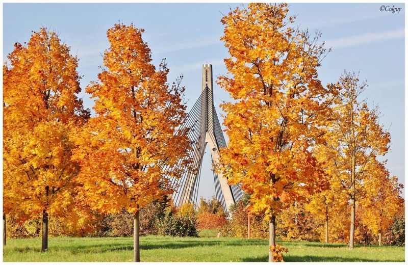 Fichier:Automne15.jpg