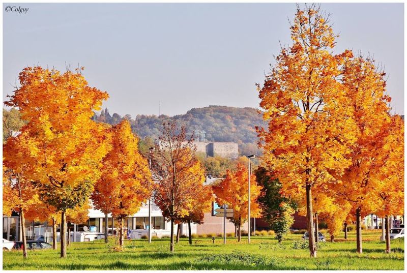 Fichier:Automne16.jpg
