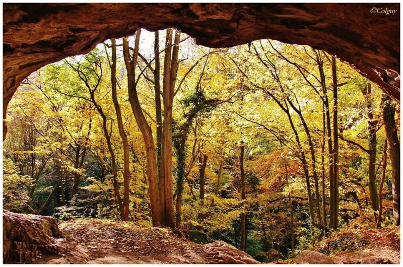 Fichier:Automne17.jpg