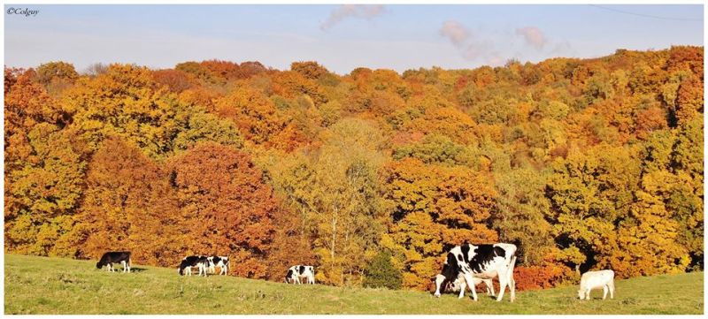 Fichier:Automne18.jpg