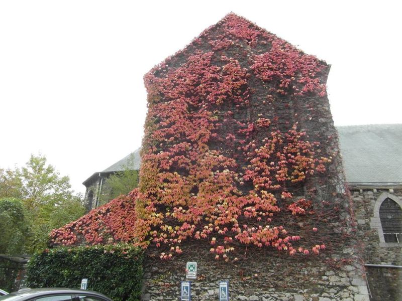 Fichier:Automne5.jpg