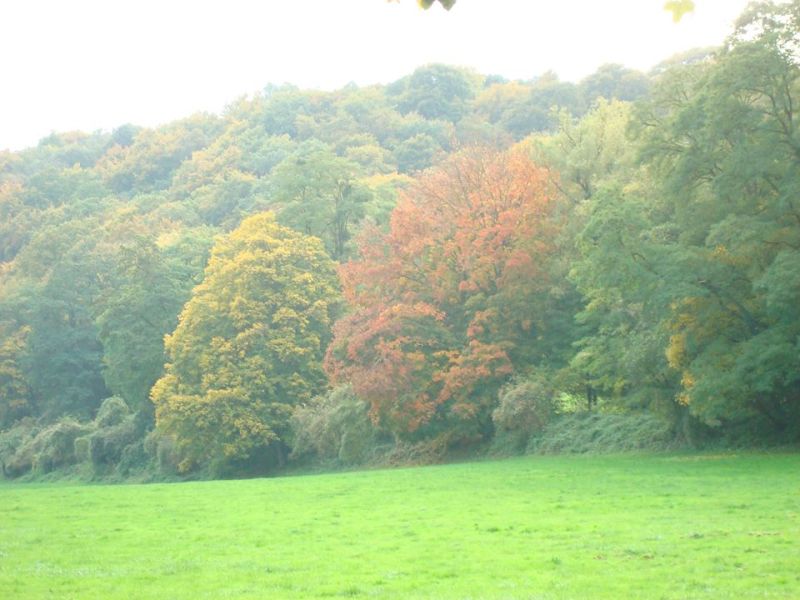 Fichier:Automne7.jpg