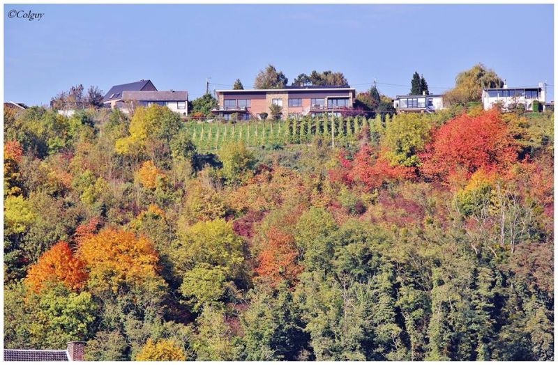 Fichier:Automne8.jpg