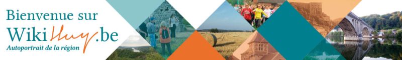Fichier:Banner wikihuy.jpg