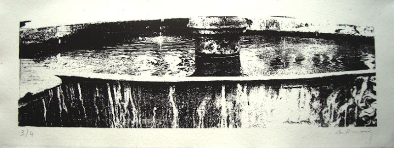 Fichier:Bassinia gravure bassin.jpg