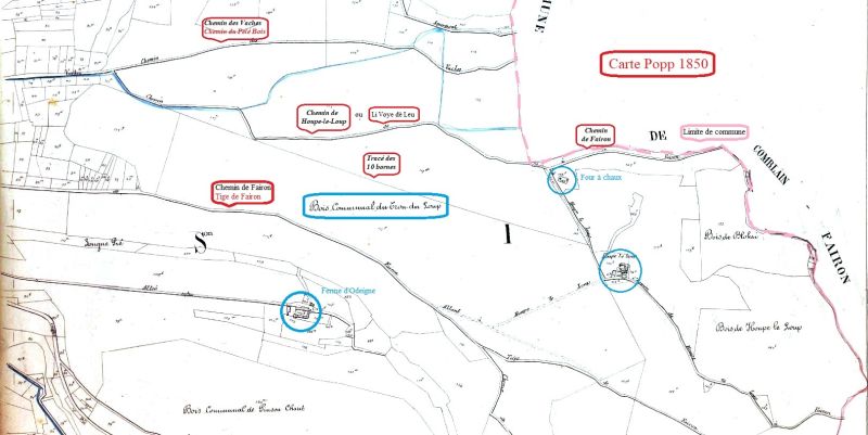 Fichier:Bois Communal du Trou du Loup POPP 1850 (3).jpg