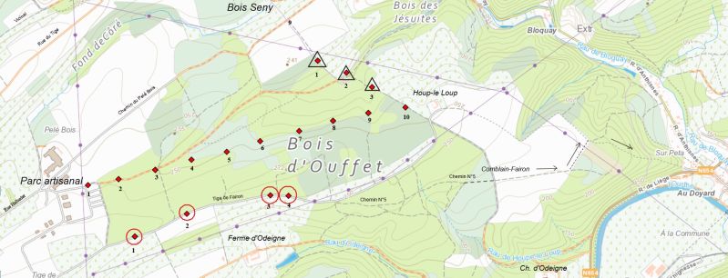 Fichier:Bois d'Ouffet8.jpg