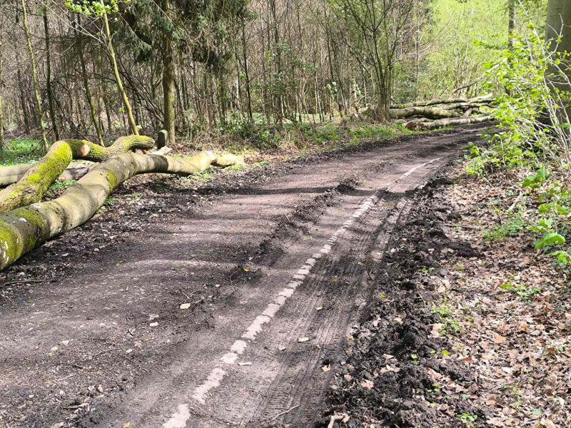 Fichier:Bois d'Ouffet 50.71.jpg