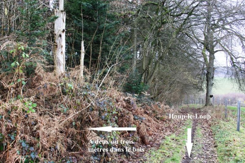 Fichier:Borne Bois de Warzée-Ouffet N°10 (2).71.JPG