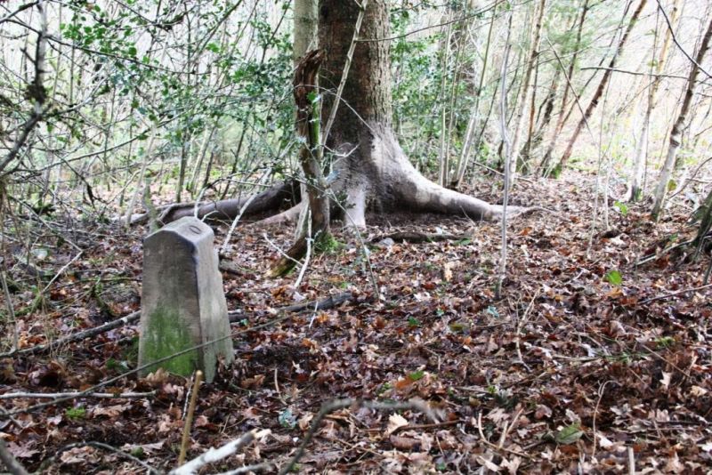 Fichier:Borne Bois de Warzée-Ouffet N°4.71.JPG