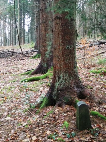 Fichier:Borne Bois de Warzée-Ouffet N°5.71.jpg