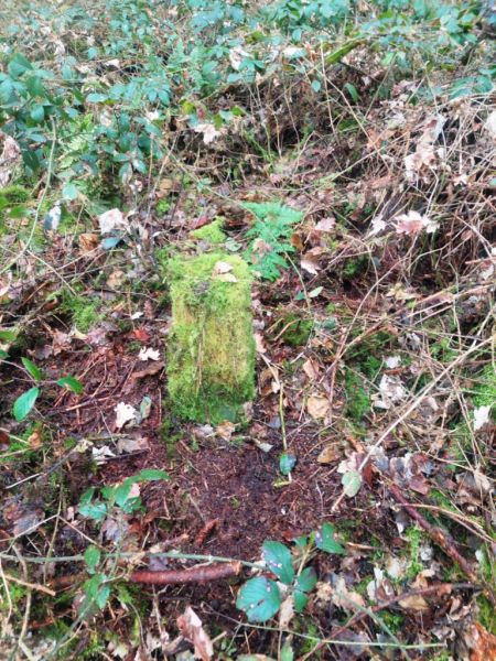 Fichier:Borne Bois de Warzée-Ouffet N°6 (2).jpg