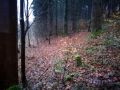Borne N°7 50.448233°;5.508617°