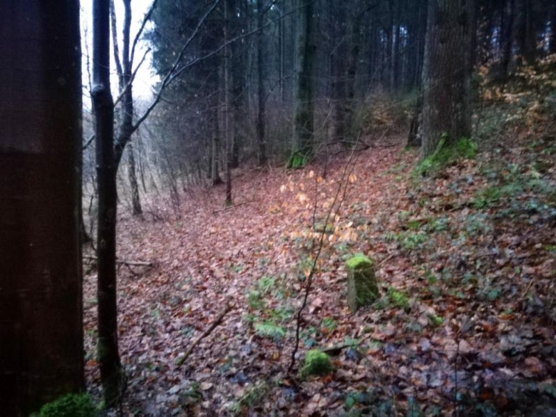 Fichier:Borne Bois de Warzée-Ouffet N°7.71.jpg