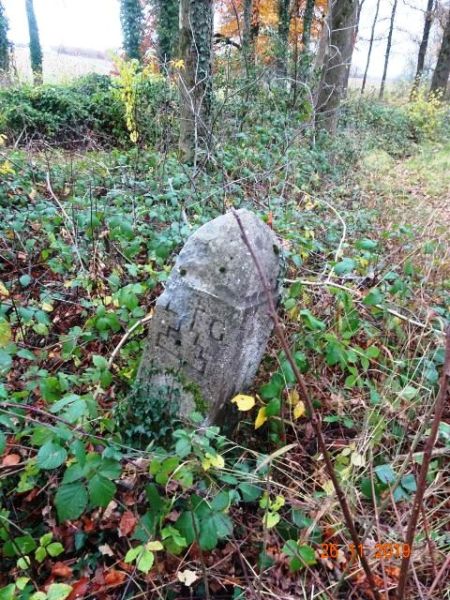 Fichier:Borne Lg-Stavelot Malmedy N°7 Coibehay.jpg