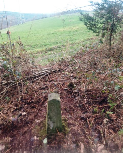 Fichier:Borne N°10 Bois de Warzée-Ouffet (5).jpg