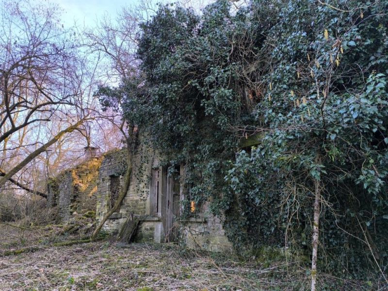 Fichier:Carrières Lizin 03.71.jpg