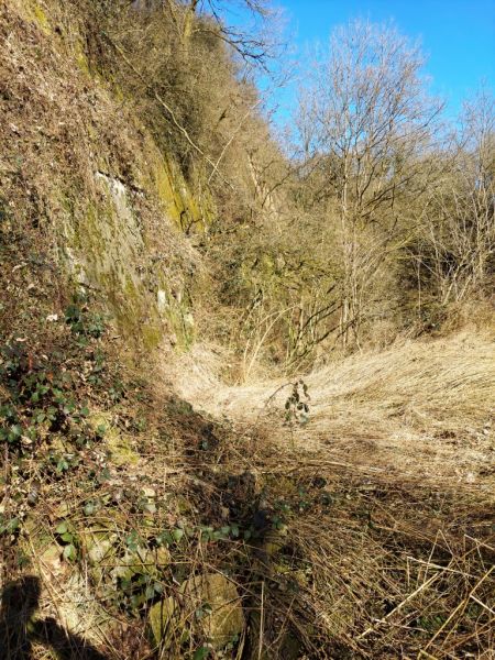 Fichier:Carrières grès Lizin 01.jpg