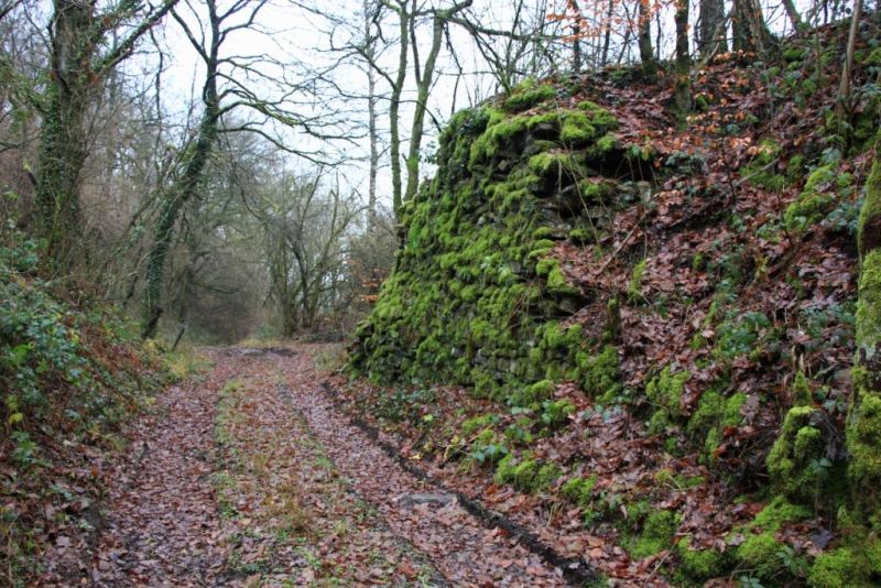 Fichier:Carrières grès Lizin 06.71.jpg