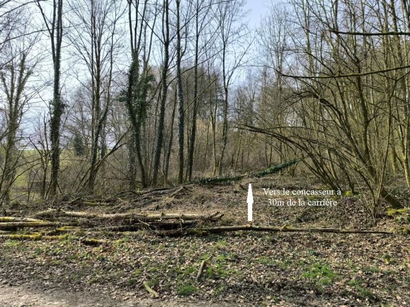 Fichier:Carrières grès Lizin 07.72.jpg