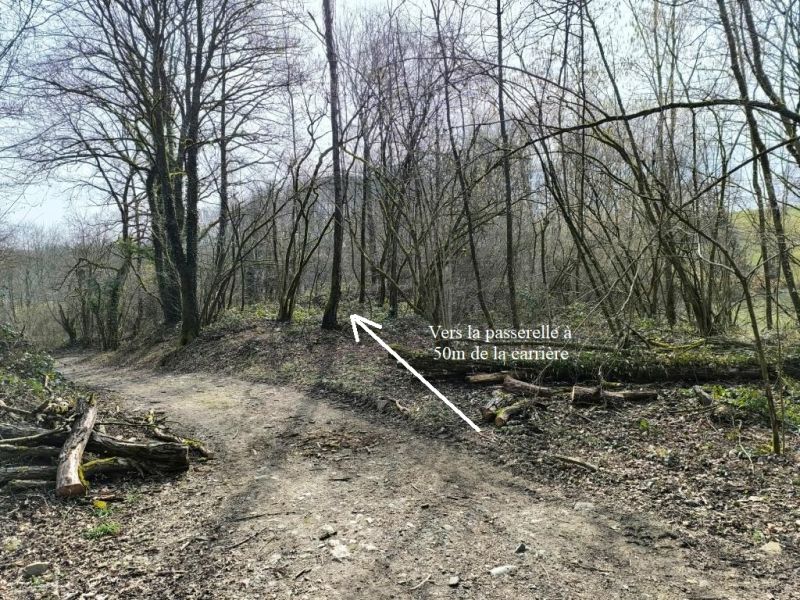 Fichier:Carrières grès Lizin 08.72.jpg