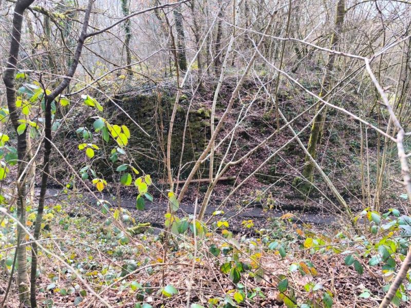 Fichier:Carrières grès Lizin 09.71.jpg