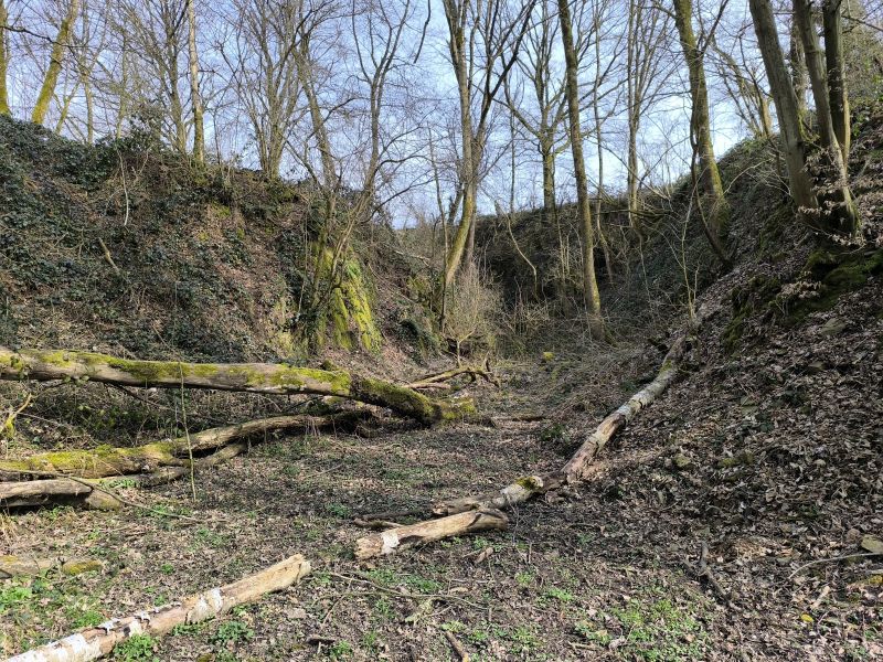 Fichier:Carrières grès Lizin 11.71.jpg
