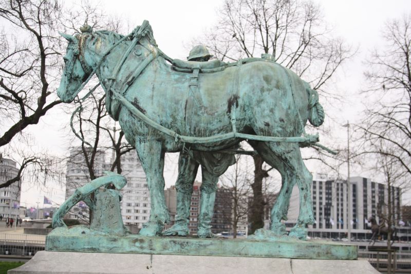 Fichier:Cheval2.jpg