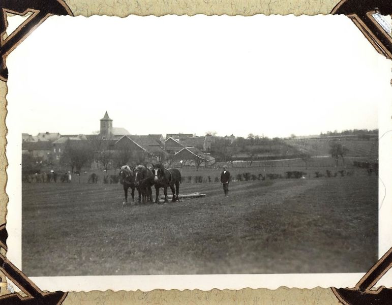 Fichier:Cou.03.jpg