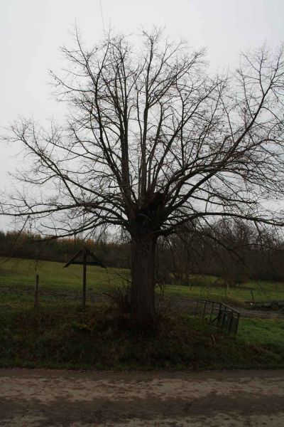 Fichier:Croix-lassus3.jpg