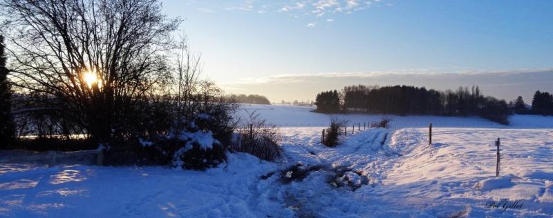 Fichier:DSC00093.21.92.P.71.jpg