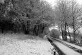 15.02.2016 Tige de Fairon vers Houpe-le-Loup