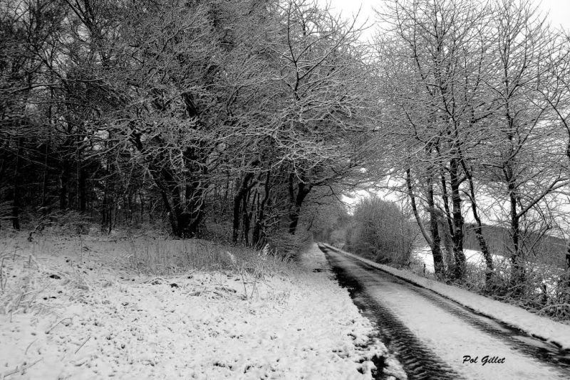 Fichier:DSC00176.15.92.71.jpg