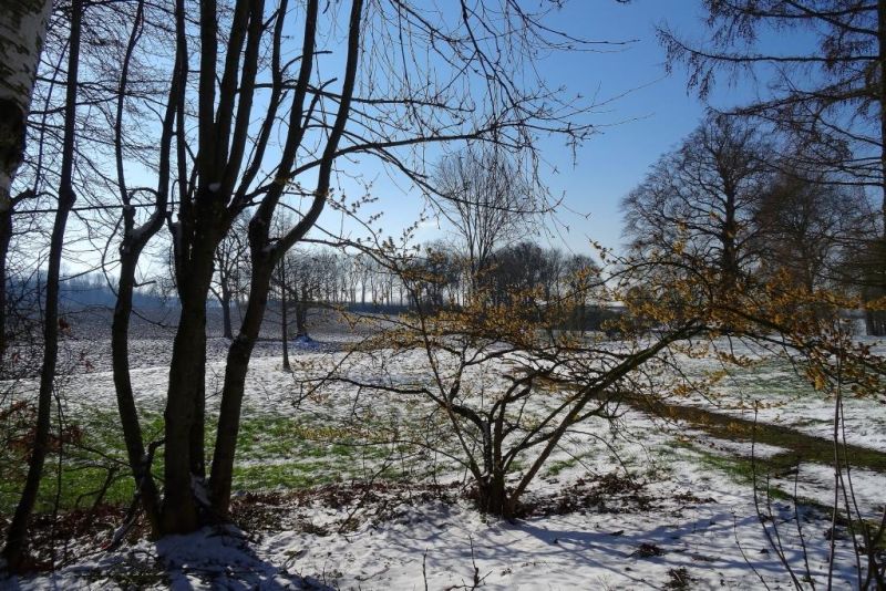 Fichier:DSC00180.15.71.jpg