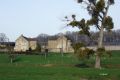 Ferme de la Maison Forte (février 2016)