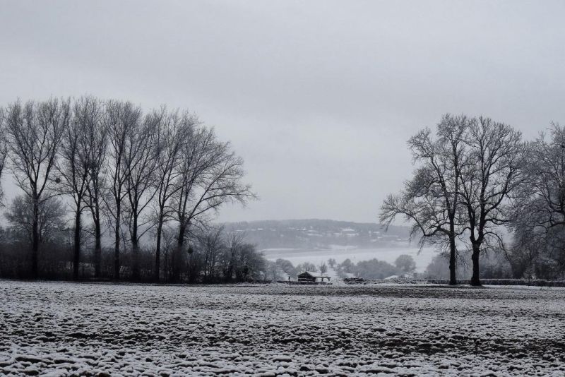 Fichier:DSC00271.16.71.jpg