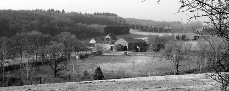 Fichier:DSC00285.17.92.P.71.jpg