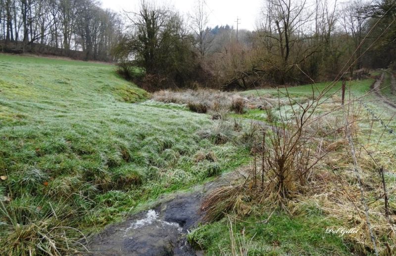 Fichier:DSC00325.71.92.jpg