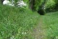 Au bout de la rue du Tige, le sentier vers le vicinal