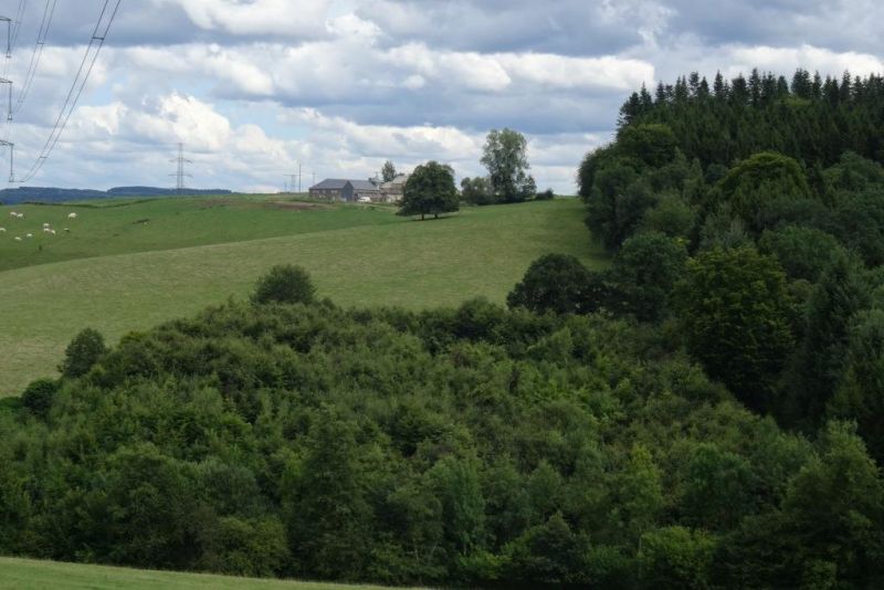 Fichier:DSC00980.71.jpg