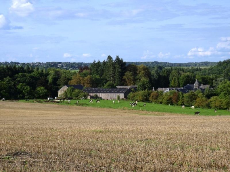 Fichier:DSC01011.71.jpg