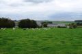 La nouvelle ferme vue de la route de Warzée (27.09.2017)