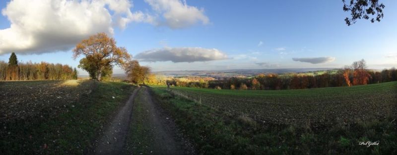 Fichier:DSC01186.21.P.92.71.jpg