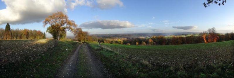 Fichier:DSC01186.22.P.71.jpg